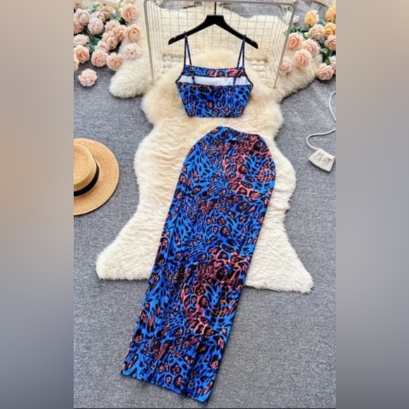 Pretty Leopard print set💙🐆 - Picture 2 of 6